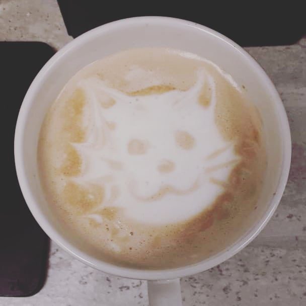Latte with cat-shaped latte art